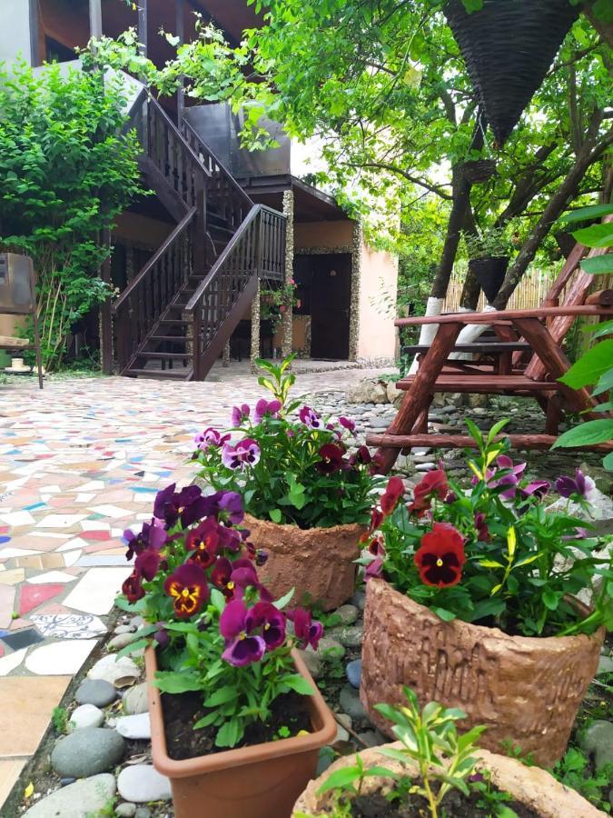 Guest House Lev Pizunda Exterior photo